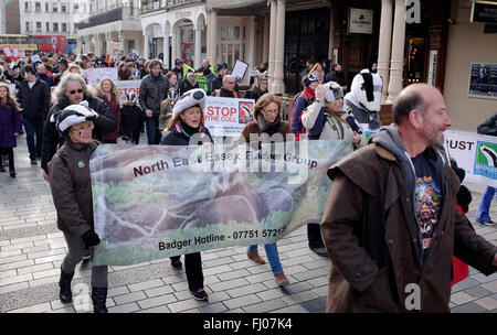 Brighton UK 27 février 2016 - Anti Blaireau Cull les manifestants se sont réunis au centre-ville de Brighton avant de partir sur une marche à la plage aujourd'hui Crédit : Simon Dack/Alamy Live News Banque D'Images