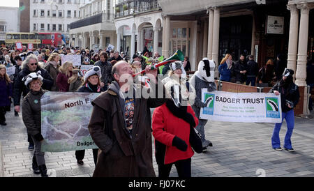 Brighton UK 27 février 2016 - Anti Blaireau Cull les manifestants se sont réunis au centre-ville de Brighton avant de partir sur une marche à la plage aujourd'hui Crédit : Simon Dack/Alamy Live News Banque D'Images