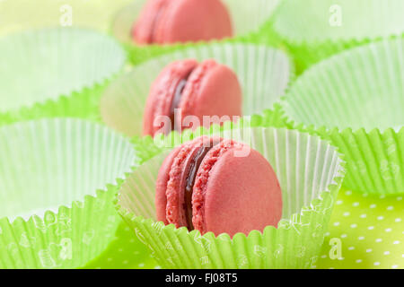 Macaron rose en vert muffins cas sur un fond vert Banque D'Images