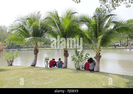 Des couples assis sous les palmiers dans Parc Chatuchak, Bangkok, Thailand Banque D'Images