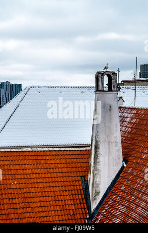 Seagull assis sur vieille cheminée à toit rouge avec à l'arrière-plan cityview Banque D'Images