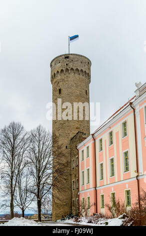 Pikk Hermann ou Grand Hermann, tour du château de Toompea, sur la colline de Toompea à Tallinn, capitale de l'Estonie Banque D'Images