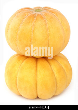 Cucumis melo melon ou de sous-continent indien Banque D'Images