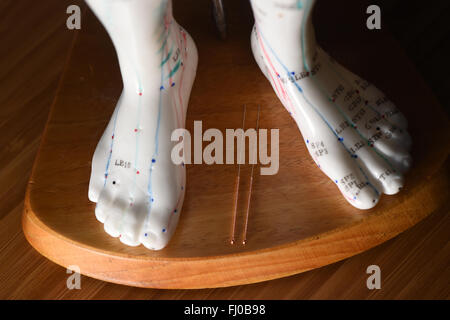 Berlin, Allemagne. Feb 25, 2016. Les aiguilles d'Acupuncture en photo entre les pieds d'un modèle d'acupuncture à Berlin, Allemagne, 25 février 2016. Photo : JENS KALAENE/dpa/Alamy Live News Banque D'Images