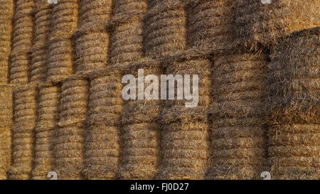 Lignes abstraites de bottes de foin dans une pile Banque D'Images