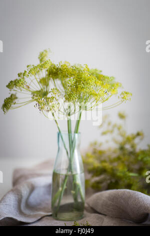 Fleurs d'aneth dans une bouteille avec de l'eau. Banque D'Images