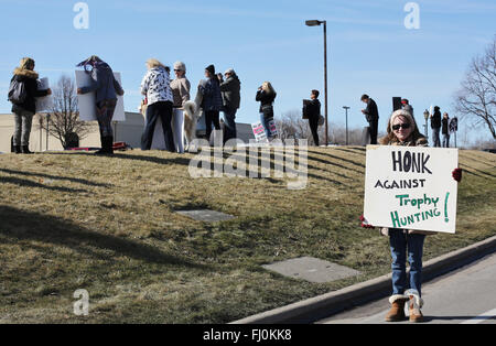 Minneapolis, Minnesota, USA. Feb 27, 2016. Militant des droits des animaux à l'extérieur de la queue chasse Safari Club World Expo à Minneapolis, Minnesota, États-Unis, 27 février 2016. Crédit : Gina Kelly/Alamy Live News Banque D'Images