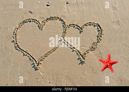 Coeurs et étoiles de mer sur le sable Banque D'Images