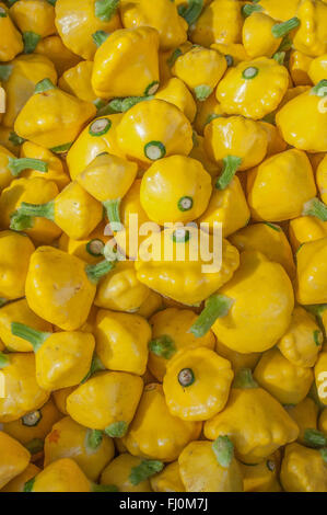 Farmers Market - jaune Patty Pan squash dans un local Ferme / marché agricole à Santa Monica California vegan / mode de vie végétarien Banque D'Images