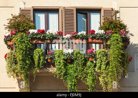 Balcon vert étonnant sur une magnifique journée de printemps Banque D'Images