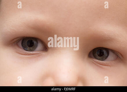 Gros plan des yeux de bébé Banque D'Images