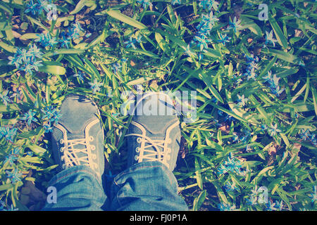 Pieds debout sur Scilla fleurs dans le parc Banque D'Images