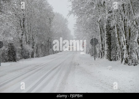 Roncevaux, Espagne. Feb 27, 2016. Un chasse-neige dégage la route comme la neige et vent gelé les socs à traverser la région, dans la région de Roncevaux. Credit : Mikel Cia da Riva/Pacific Press/Alamy Live News Banque D'Images