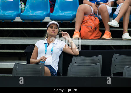 Sao Paulo, Sao Paulo, Brésil. Feb 26, 2016. Brasil Open 2016 Tournoi de tennis à Sao Paulo, Brésil. Crédit : Alexandre Moreira/ZUMA/Alamy Fil Live News Banque D'Images