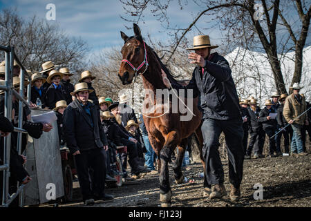 Lancaster, Pennsylvanie, États-Unis. Feb 27, 2016. Vente de boue Amish, qui a lieu tous les printemps à Lancaster, PA. Collecte de fonds pour les services d'incendie 1. Crédit : COLLECTION CRÉATIVE TOLBERT PHOTO/Alamy Live News Banque D'Images