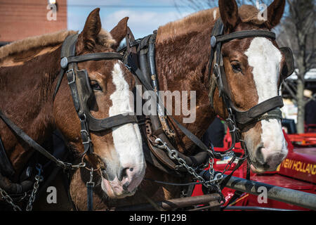 Lancaster, Pennsylvanie, États-Unis. Feb 27, 2016. Vente de boue Amish, qui a lieu tous les printemps à Lancaster, PA. Collecte de fonds pour les services d'incendie 1. Crédit : COLLECTION CRÉATIVE TOLBERT PHOTO/Alamy Live News Banque D'Images