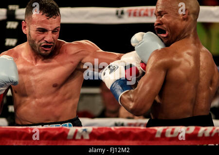 New York, New York, USA. Feb 27, 2016. ANGEL LUNA (noir et bleu) et CHRISTOPHER DIAZ bataille dans un combat de poids plume au Madison Square Garden de New York City, New York. Crédit : Joel Plummer/ZUMA/Alamy Fil Live News Banque D'Images