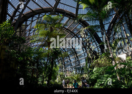 Bâtiment de botanique, Balboa Park, San Diego, Californie Banque D'Images