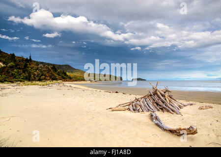 Plage de l'Abel Tasman National Park, New Zealand Banque D'Images