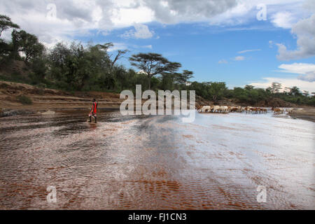 Paysage près de Turmi, bush superficie forestière, avec hamer man reviennent au pays avec le bétail , Éthiopie Banque D'Images