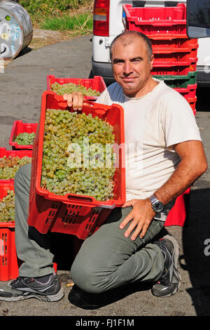 Un agriculteur lui tendent au-dessus des vignes Corniglia Cinque Terre sur la côte de Ligurie Banque D'Images
