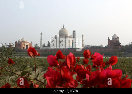 C'est l'arrière du Taj Mahal de l'autre côté de la rivière Yamuna Agra, Inde Photo de Palash Khan Banque D'Images