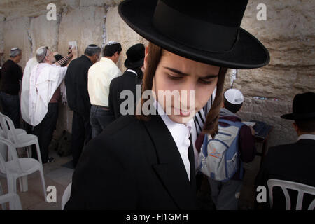 Homme Hardedim (Ultra juif orthodoxe) au Mur occidental / Mur des lamentations, Jérusalem, Israël Banque D'Images