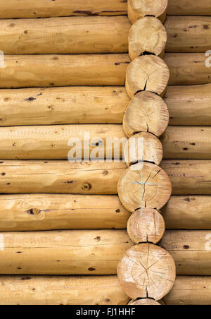 Grumes en bois wall background Banque D'Images