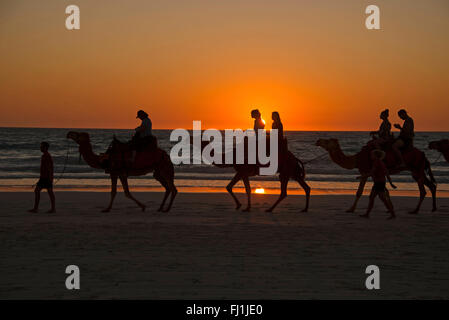 Les touristes à cheval sur les chameaux bâtés sur le 4 km aller-retour à dos de chameau au coucher du soleil lorsque le soleil se couche sur Cable Beach à Broome,une côte Banque D'Images