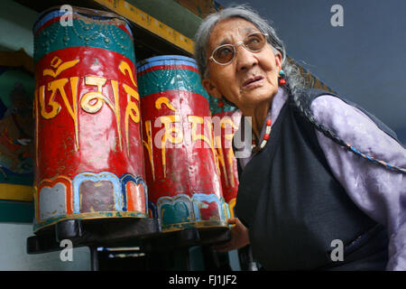 Femme Tibétaine réfugiée à Mac Leod Ganj , Inde Banque D'Images