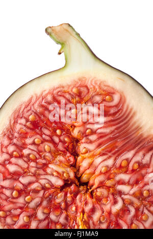 Gros plan d'une moitié fresh fig sur fond blanc Banque D'Images
