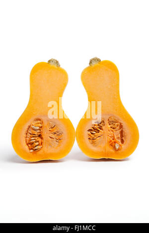 Deux demi-courges butternut sur fond blanc Banque D'Images