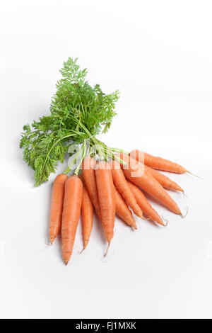 Botte de carottes fraîches sur fond blanc Banque D'Images