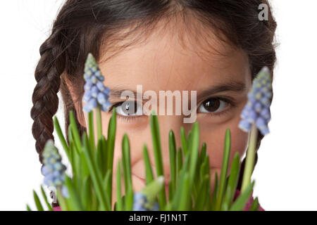 Printemps, portrait d'une petite fille aux fleurs muscari sur fond blanc Banque D'Images