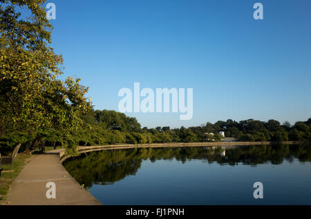 WASHINGTON DC — les cerisiers Yoshino aux feuilles vertes bordent le Tidal Basin en été, avec le Jefferson Memorial visible au loin. Ces arbres, un cadeau du Japon en 1912, sont connus pour leurs fleurs roses et blanches qui sont au centre du festival national des cerisiers en fleurs chaque printemps. Banque D'Images