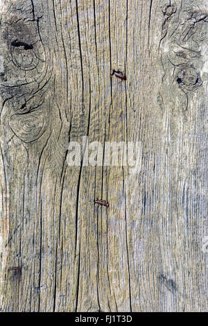 Old Wooden planks fond surface texture minable. Banque D'Images