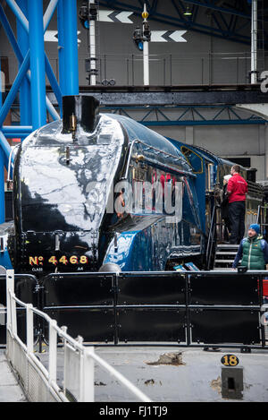 La locomotive à vapeur Pacific A4 Mallard sur l'affichage dans le National Railway Museum York Yorkshire Angleterre Royaume-Uni UK Banque D'Images