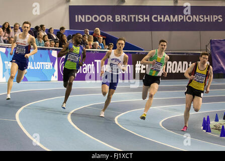 EIS Sheffield, Sheffield, Royaume-Uni. 28 Février, 2016. La piscine d'athlétisme de la deuxième journée. Le Men's 800m est en cours. Credit : Action Plus Sport/Alamy Live News Banque D'Images