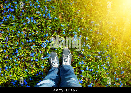 Pieds debout sur Scilla fleurs dans le parc Banque D'Images