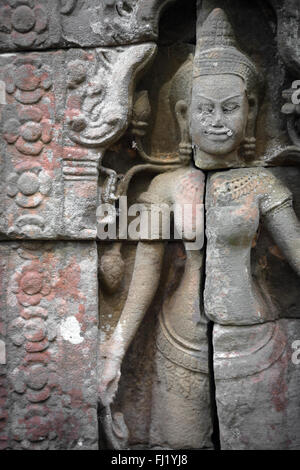 L'intérieur de l'Apsara Ta Prohm, Siem Reap , Cambodge Banque D'Images