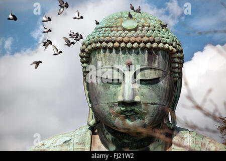 Daibutsu Kōtoku-in grand Bouddha à Kamakura au Japon Banque D'Images