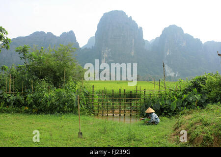 Laos photos de gens et de paysages Banque D'Images