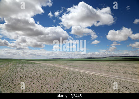 La Mongolie de superbes paysages faits de vert et le vide total Banque D'Images