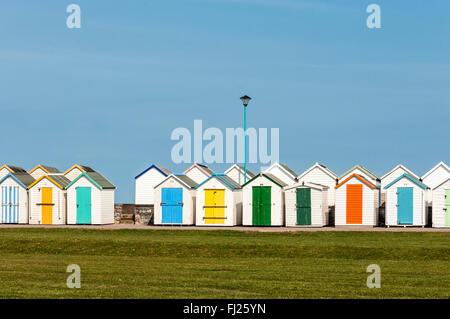 Deux rangées de cabines de plage divisé par un mur de pierre égayer l'après-midi ensoleillé avec leurs couleurs brillantes au Musée Banque D'Images