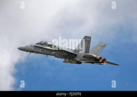 Une armée de l'Air Finlandaise Boeing F/A-18C Hornet au 2009 Royal International Air Tattoo, RAF Fairford, Gloucestershire, Royaume-Uni. Banque D'Images