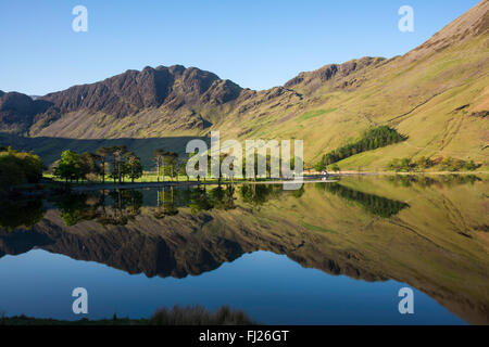 Printemps reflets de la célèbre pinède et meules de foin sont tombés à Buttermere, Lake District, England, UK Banque D'Images