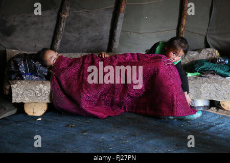 Faily dans la ger, , gens , Dukha Tsaatan éleveurs de rennes nomades de la Mongolie , Banque D'Images