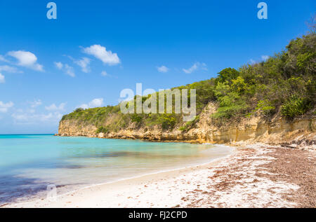 Dickenson Bay Beach au nord Antigua avec ciel bleu et mer turquoise sur une journée ensoleillée, Antigua-et-Barbuda, Antilles Banque D'Images