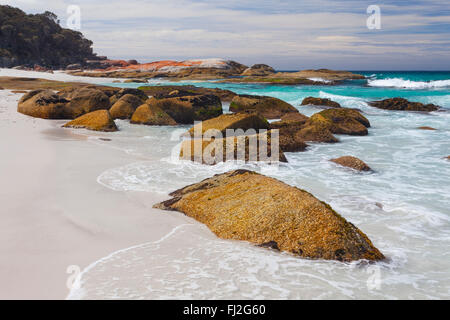 Bay of Fires - Tasmanie - Australie Banque D'Images