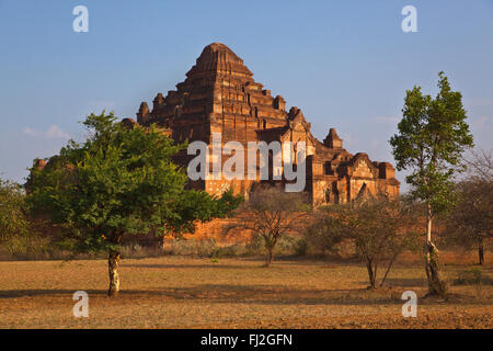 Le 12e siècle DHAMMAYANGYI PAHTO ou temple est le plus grand de Bagan et a probablement été construit par Narathu - Myanmar Banque D'Images